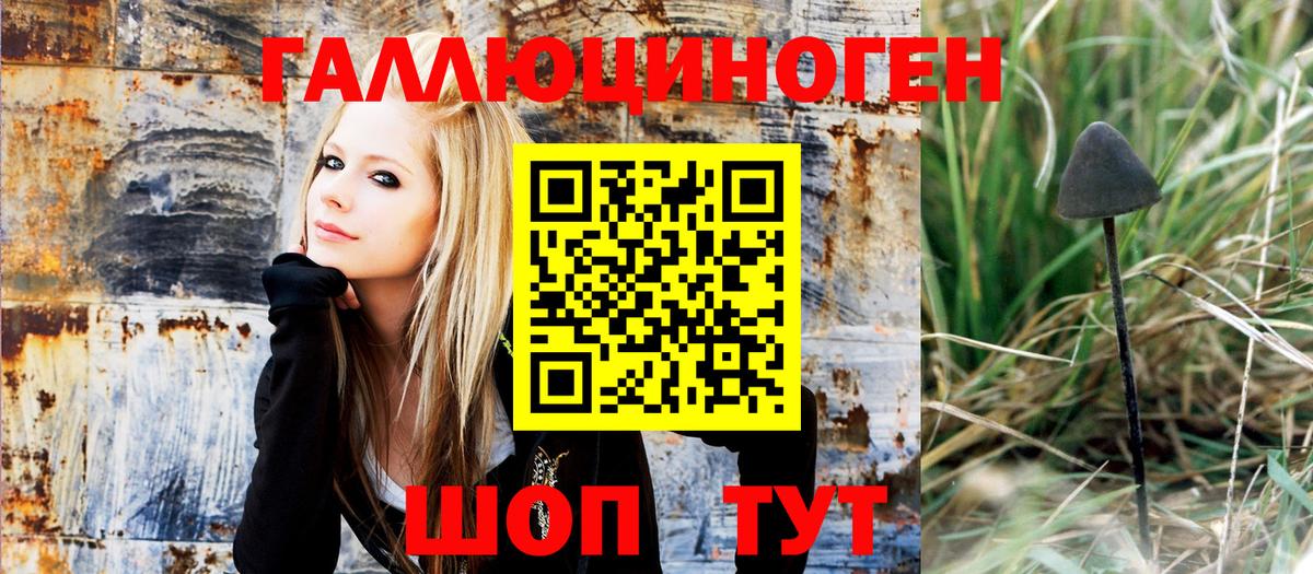 Старая Купавна  Галлюциногенные грибы MAGIC MUSHROOMS  Вход с VPN 